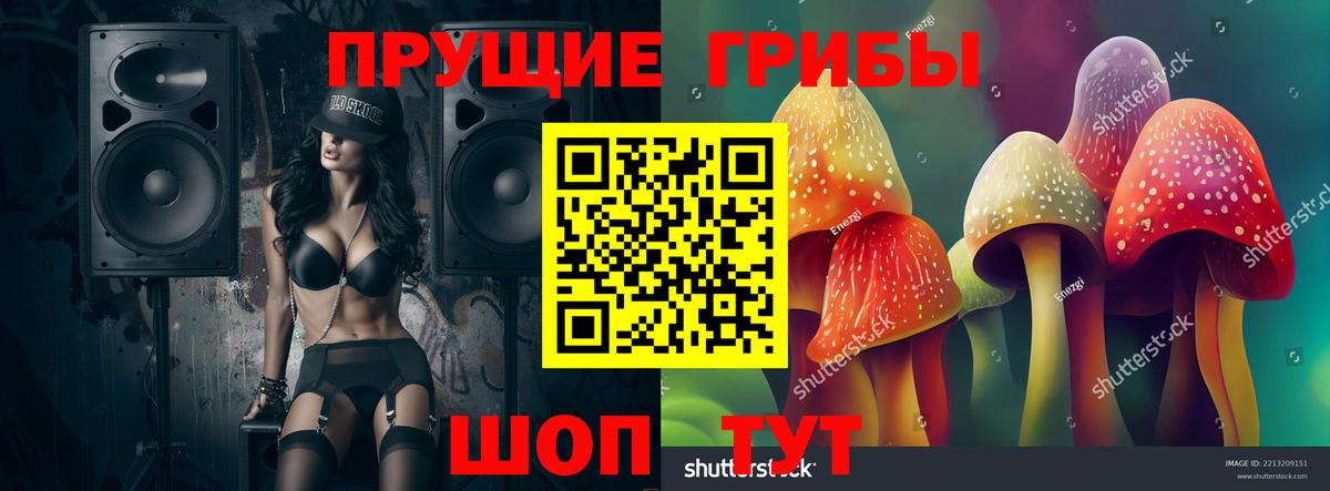 Тара  Галлюциногенные грибы мицелий  где купить наркотик  Вход с VPN 